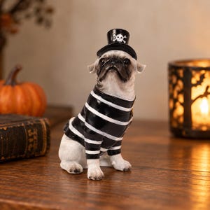 Puede incluir: Una figura de un perro pug de color claro que lleva una camisa a rayas blancas y negras y un sombrero de copa negro con un emblema blanco de calavera y tibias cruzadas. El perro está en posición sentada, mirando al frente con hocico oscuro.