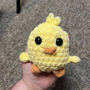 baby chick