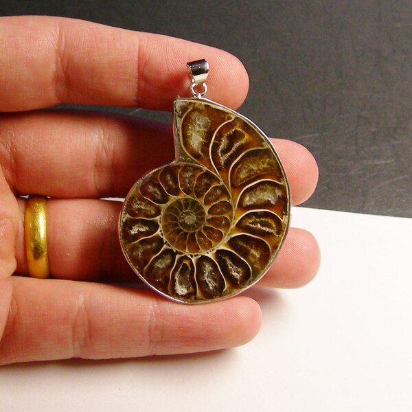 1 Genuine Ammonite fossil pendant - 1 pcs