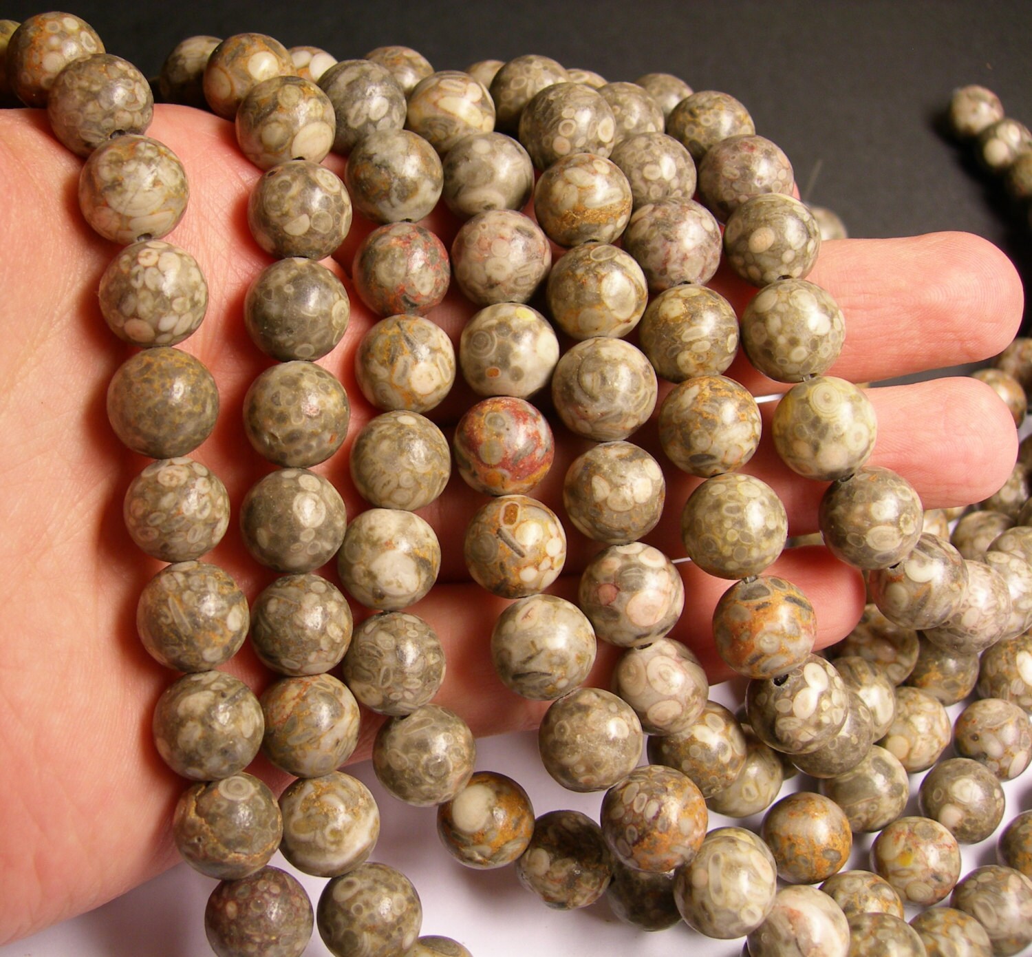 Fossil Jasper 12mm round beads 1 full strand 33 beads RFG1141