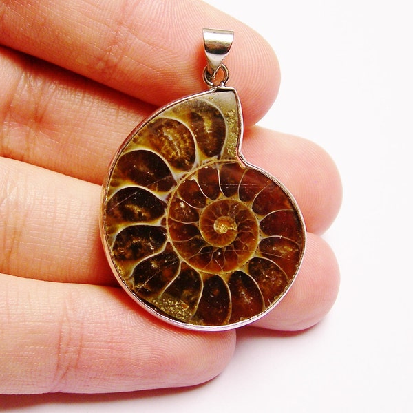 Genuine Ammonite fossil pendant cabochon  1 pcs natural