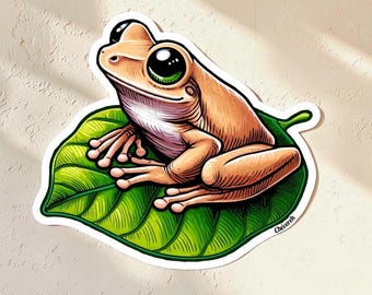 Coquí Lindo Vinyl Sticker – Waterproof Glossy Puerto Rico Decal