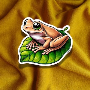 Coquí Frosch-Aufkleber - Coquí Lindo, puertoricanische Ikone im hellen tropischen Stil