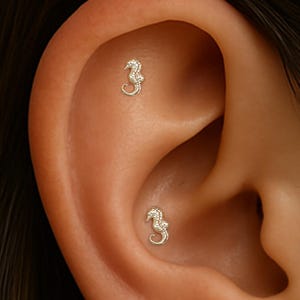 14K Solid Gold Seahorse Helix Piercing/Ocean Animal Threadless Pin/Gold Conch Upper-lobe Stud/Labert Tragus Piercing/Gift for Ocean Lover
