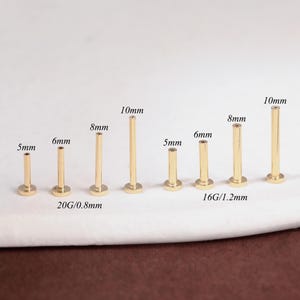 Könnte beinhalten: Eine Sammlung goldfarbener Labret-Stecker mit flachem Rücken in verschiedenen Größen. Die Stecker sind zwischen 5 mm und 10 mm lang, wobei die Größen deutlich gekennzeichnet sind. Das Bild ist auf einer weißen Oberfläche aufgenommen.
