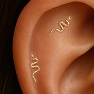 May include: Close-up of an ear adorned with two small, gold-colored snake-shaped earrings. The earrings are delicate and detailed, with a winding design. The skin tone is light, and the earrings are the focal point.