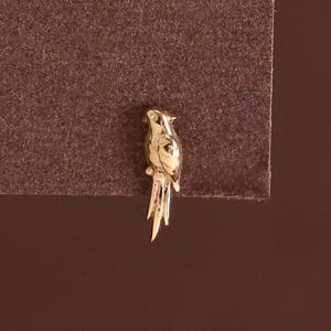 Peut inclure: Une petite boucle d'oreille à clou en métal doré en forme de perroquet. La figurine d'oiseau présente une tête détaillée, un bec couronné et de longues plumes de queue effilées s'étendant vers le bas. La surface métallique reflète la lumière.