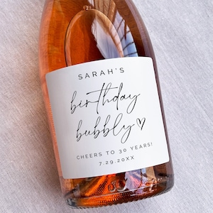 Birthday Bubbly -  Custom Waterproof Wine/Champagne/Mini Champagne Bottle Labels, Printed Stickers for Birthday Party