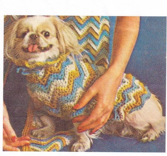 Vintage CrochetPattern for Woman's Coat and Dog Sweater and Hat INSTANT DOWNLOAD PDF
