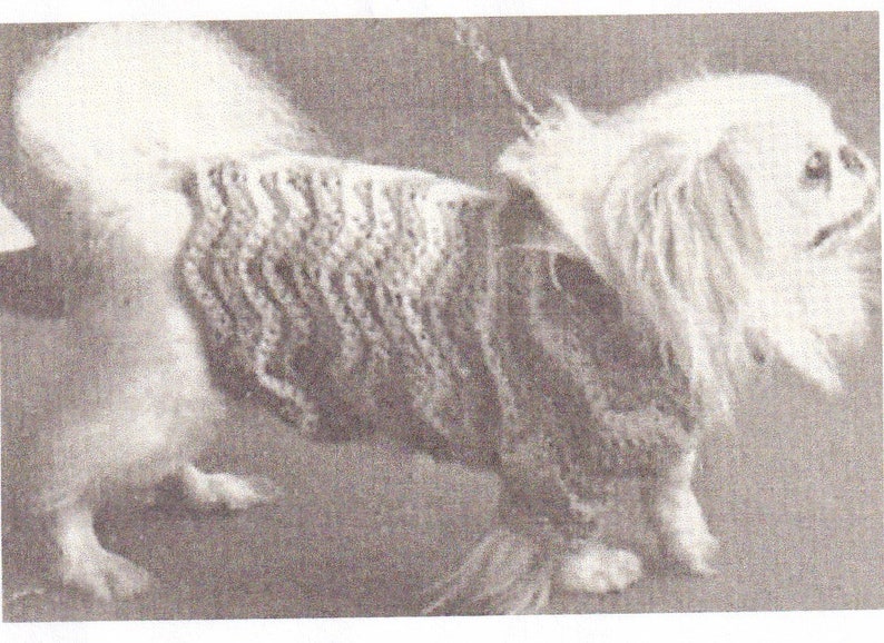 May include: A white dog wearing a brown and white knitted sweater. The dog is sitting on a light brown surface.