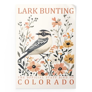 Lark Bunting Bird Wall Art Print, Colorado State Bird Poster, Vintage Wildlife Artwork, Botanical Bird Illustration Home Decor