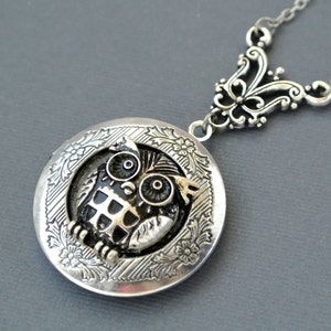 Owl Locket Necklace - Owl Pendant Necklace, Owl Photo Locket Jewelry, Elegant Owl Jewelry Necklace Gift, Owl Lover Gift, Owl Picture Locket