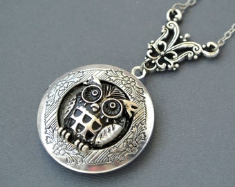 Owl Locket Necklace, Owl Pendant Necklace, Owl Photo Locket Jewelry, Owl Jewelry Necklace,