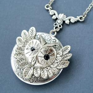 Owl Locket, Owl Locket Necklace, Owl Photo Locket Jewelry, Owl Jewelry Necklace, Owl Pendant Necklace