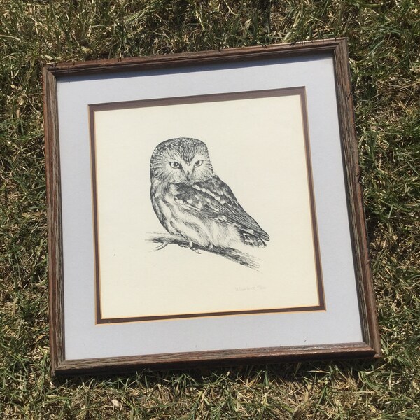 Owl Line Drawing Etsy