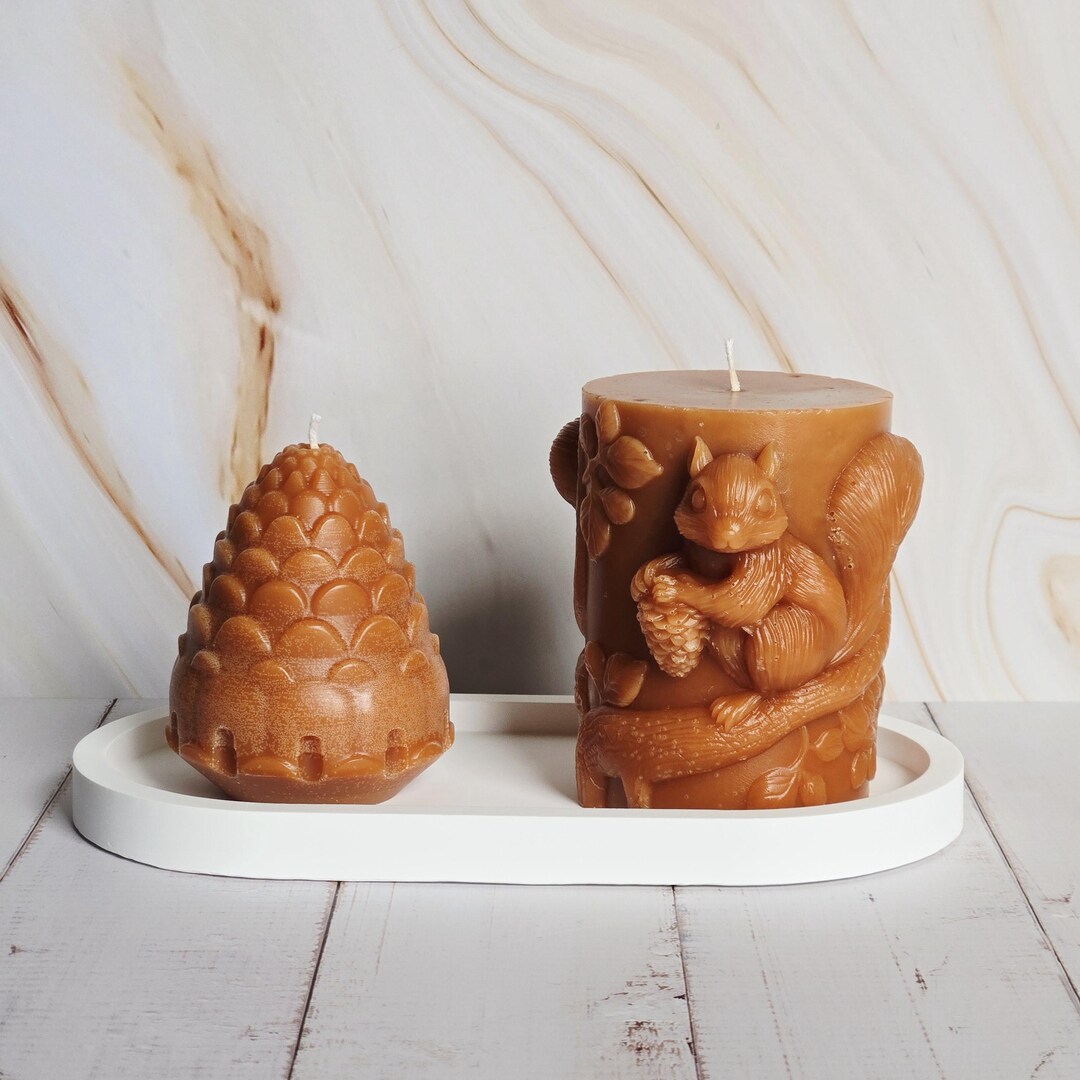 Beeswax Squirrel & Pine Cone Candle Set: Woodland Cabin Decor - Etsy