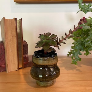 Puede incluir: Una pequeña maceta de cerámica verde oscuro con una planta suculenta. La maceta tiene una forma redondeada única y un acabado brillante. La suculenta tiene hojas verdes y rojizas. La maceta está sobre una superficie de madera.