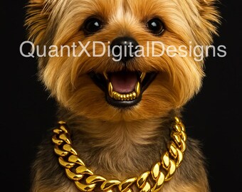 Yorkie de luxe avec chaîne en or et crocs en or