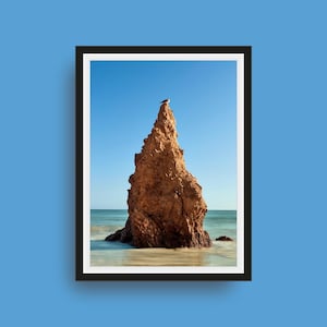 Stampa su roccia di Malibu Beach – Fotografia di gabbiani costieri, arte murale oceanica dalla California