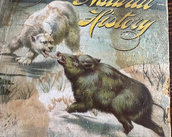 Young Folk’s Natural History - signed by original owner 1897