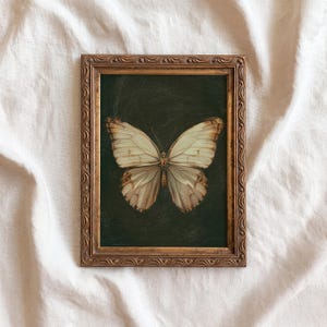 May include: A framed butterfly print. The artwork features a detailed illustration of a butterfly with cream and brown wings against a dark green background. The frame is ornate with a gold finish, adding a vintage aesthetic.