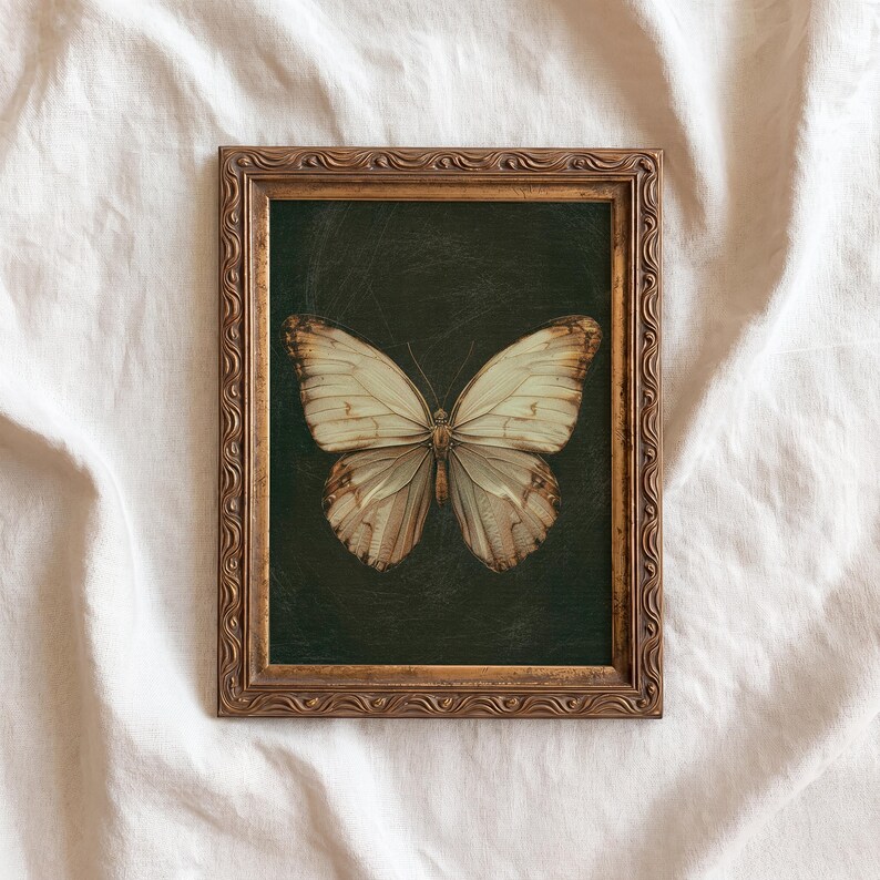 May include: A framed butterfly print. The artwork features a detailed illustration of a butterfly with cream and brown wings against a dark green background. The frame is ornate with a gold finish, adding a vintage aesthetic.