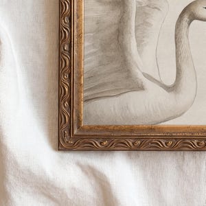 May include: A framed watercolor print of a swan in shades of gray and white. The artwork is displayed in a gold-colored ornate frame. The swan's elegant form is captured with delicate brushstrokes, creating a serene and classic aesthetic.
