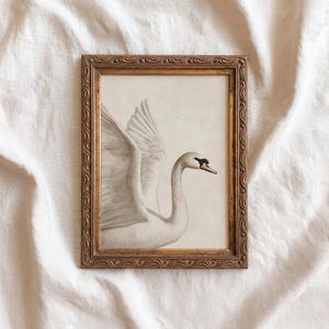 May include: A framed print featuring a detailed illustration of a swan with outstretched wings. The swan is depicted in shades of white and gray, with a black beak and eye. The artwork is set within a gold-colored, ornate frame.