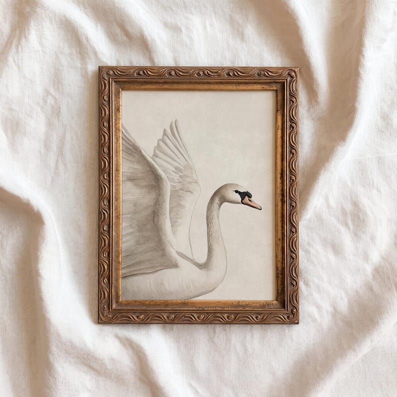 May include: A framed print featuring a detailed illustration of a swan with outstretched wings. The swan is depicted in shades of white and gray, with a black beak and eye. The artwork is set within a gold-colored, ornate frame.