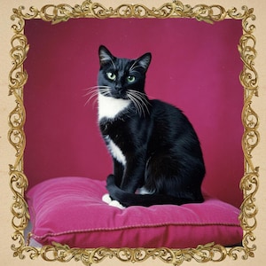 Black Cat on Pillow Painting Poster