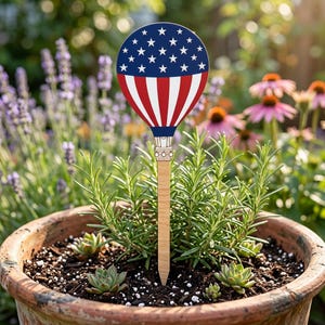 May include: A garden stake featuring a hot air balloon shape with a blue top section containing white stars and a bottom section with red and white vertical stripes. The balloon is attached to a light brown wooden stick pointed at the bottom.