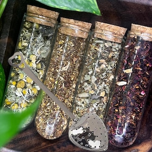 Herbal Tea Sampler Box + Heart Tea Steeper – 4 Wellness Blends for Sleep, Immunity, Calm & Respiratory Support | All-Natural