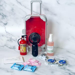May include: A red miniature suitcase with a clear top, a small red fire extinguisher, a black handheld fan, a pink bottle with a white label that says "Mario Badescu Skin Care Facial Spray Aloe, Herbs and Rosewater", a white package with the text "Oil Absorbing Sheets", two packages of blue facial wipes, two packages of pink facial wipes, two silver packages with the text "York" and a white USB charging cable.