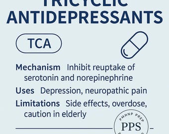 PMHNP Exam Prep: TCA Study Guide, Practice Questions (Digital Download)