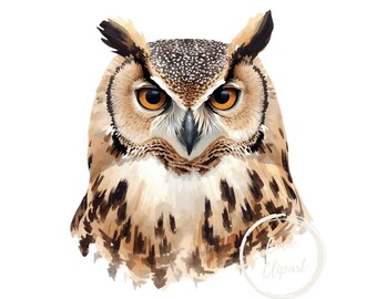 Great Horned Owl Clipart, High-Resolution PNG Illustration, Transparent Background 300 DPI, Commercial Use