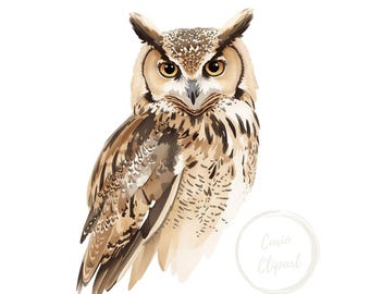Great Horned Owl Clipart, High-Resolution PNG Illustration, Transparent Background 300 DPI, Commercial Use