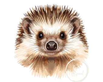 Hedgehog Clipart, High-Resolution PNG Illustration, Transparent Background 300 DPI, Commercial Use