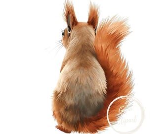 Red Squirrel Clipart – High-Resolution PNG Illustration (Commercial Use)