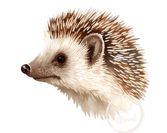 Hedgehog Clipart, High-Resolution PNG Illustration, Transparent Background 300 DPI, Commercial Use