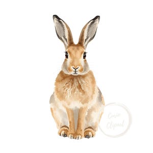 May include: Watercolor illustration of a sitting hare with long ears, brown fur, and dark eyes. The hare is centered on a white background. The image has a soft, artistic style, suitable for wall art or nursery decor.