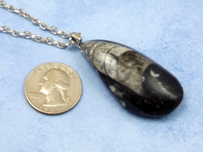 real fossil necklace