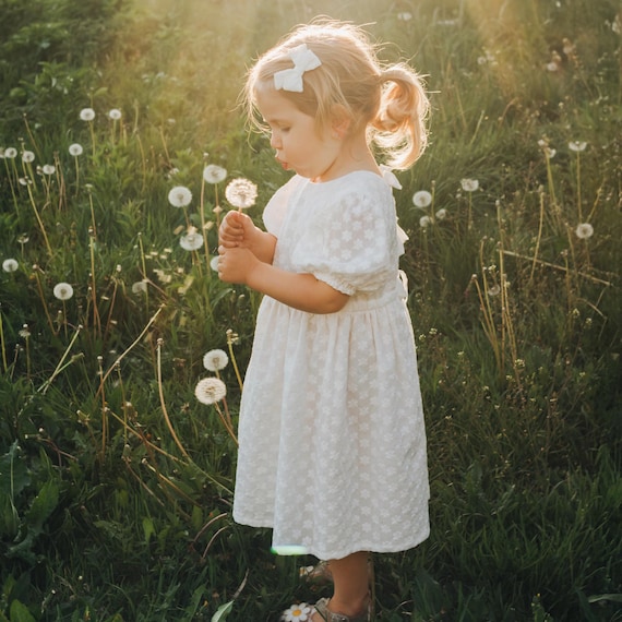 toddler embroidered dress Flower Embroidered Lace Dress main image 1