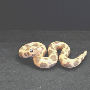 Snake (inspire on Ball Python snake).  Handmade, polymer clay, desk buddy.