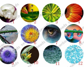 10mm-30mm Finished Round Glass cabochons,Photo Glass Cabochon, Round cabochons,Flower Cabs Cabochons, Image Glass Cabochon,Glass cabochons