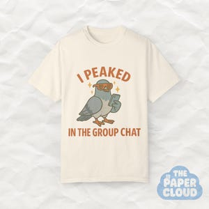 Alcancé mi punto máximo en el chat grupal, regalo para introvertidos, camiseta de dibujos animados, camiseta divertida de Birdcore, camiseta de MVP del chat grupal, diseño divertido de meme de paloma retro.