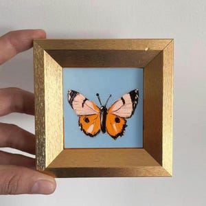 Puede incluir: Pintura enmarcada de una mariposa. La obra presenta una mariposa con alas naranjas, negras y blancas sobre un fondo azul claro. El marco es dorado. La pintura está sujeta por una mano.