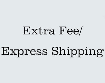 Express Shipping/Extra Fee/Custom Painting 1