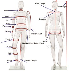 May include: Clear plastic mannequin with labeled measurement points, including neck, chest, waist, and inseam. Arrows indicate areas for measuring back length, full height, and sleeve length. Ideal for clothing retailers.