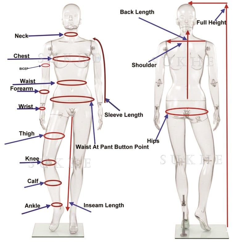 May include: Clear plastic mannequin with labeled measurement points, including neck, chest, waist, and inseam. Arrows indicate areas for measuring back length, full height, and sleeve length. Ideal for clothing retailers.