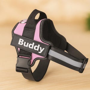 Op de afbeelding: Roze en zwart hondentuig met de naam "Buddy" in witte blokletters. Het tuig heeft een reflecterende strip en een zwarte plastic gesp. Ontworpen voor comfort en veiligheid voor honden.